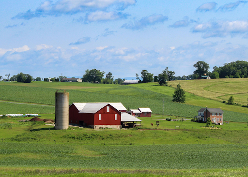 A farmhouse and outbuildings and silo on a verdant slope in early spring.